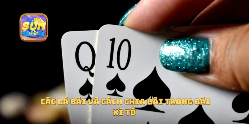  Các lá bài và cách chia bài trong bài xì tố