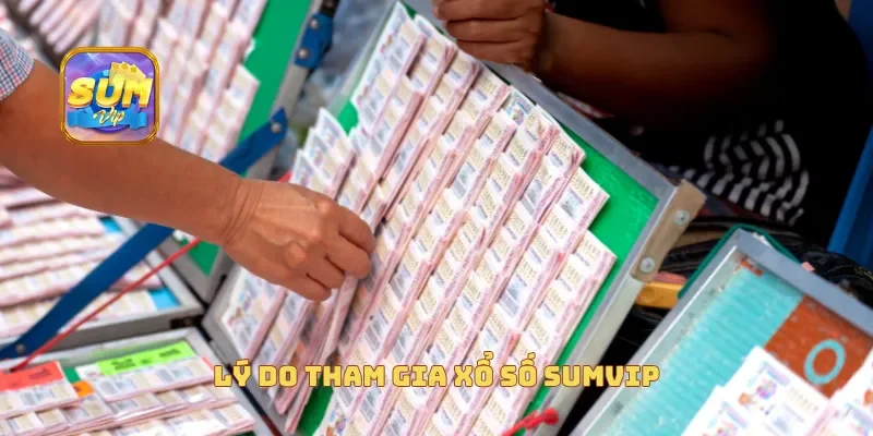  Lý do tham gia xổ số sumvip